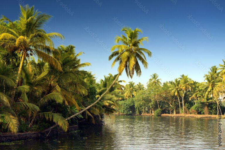 Quel circuit en Inde du Sud propose Kuoni pour une expérience inoubliable 39 paysage du kerala avec backwaters et cocotiers