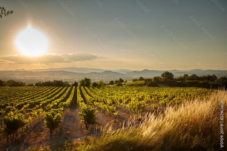 paysage mediterraneen au coucher de soleil