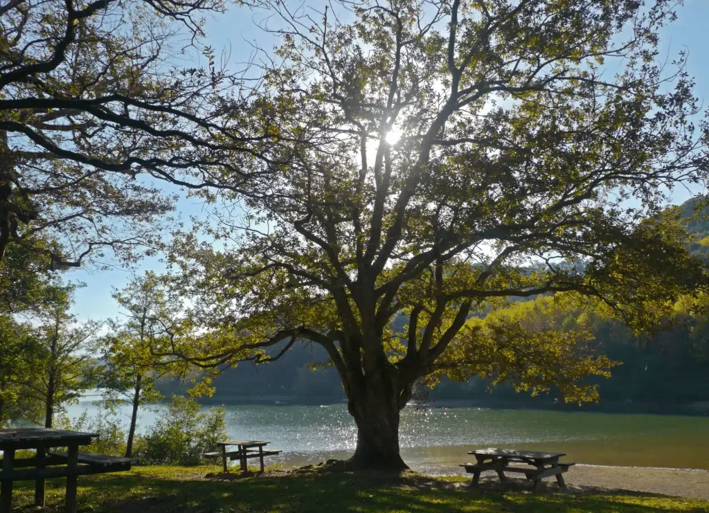 Pourquoi visiter le lac Saint-Pée-sur-Nivelle Activités et nature ! 7 Pourquoi visiter le lac Saint-Pée-sur-Nivelle  Activités et nature !
