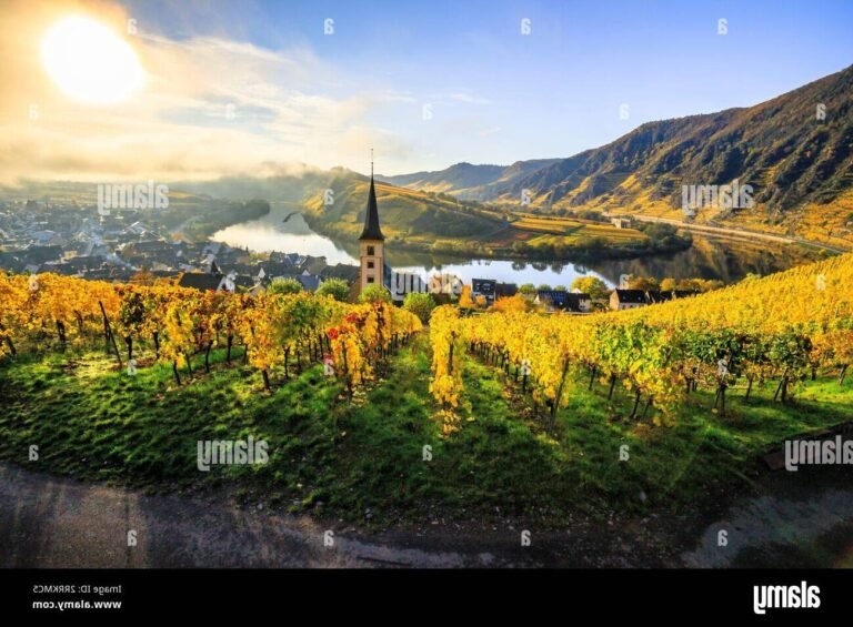 paysage pittoresque de moselle en automne