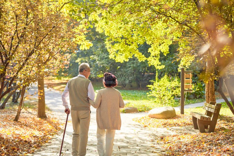 personne accompagnant un senior en promenade