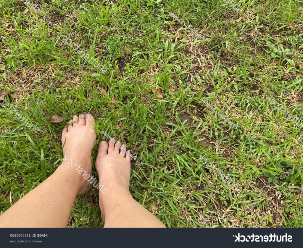 Pourquoi marcher pieds nus sur la terre sacrée est-il bénéfique 3 Pourquoi marcher pieds nus sur la terre sacrée est-il bénéfique