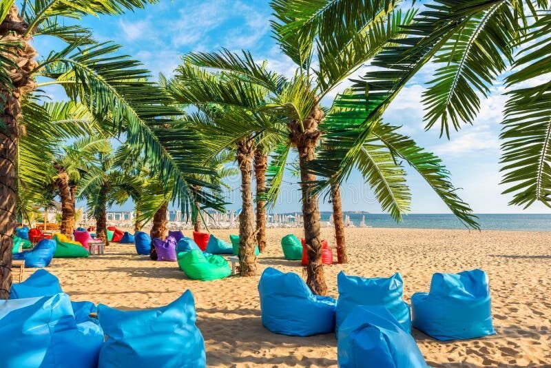 plage ensoleillee avec des festivites colorees