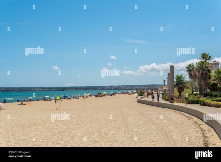 plage ensoleillee de palma de majorque