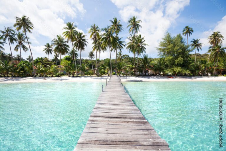 Qu'est-ce que Monkey Beach sur l'île de Koh Phi Phi 4 plage paradisiaque avec palmiers et eaux turquoises