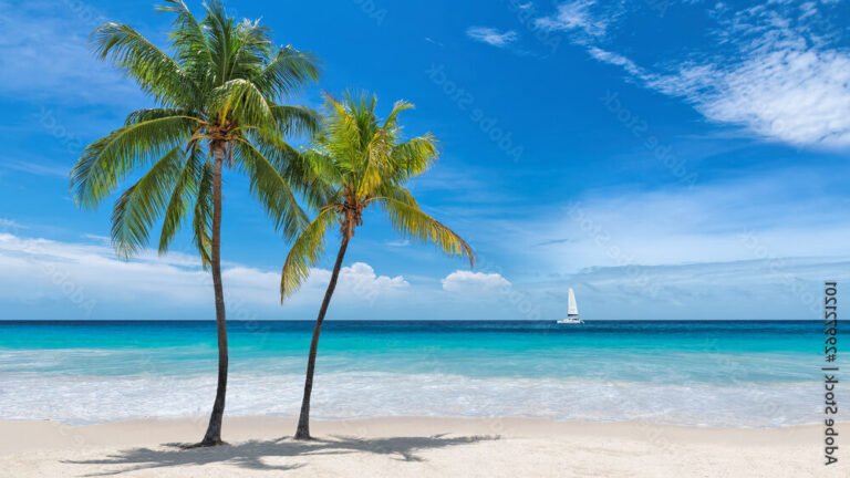 plage paradisiaque avec palmiers verdoyants