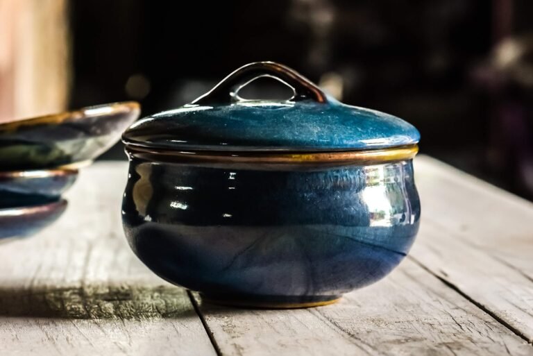 Quel plat four avec couvercle acheter chez Action pour vos recettes 9 plat en ceramique avec couvercle elegant