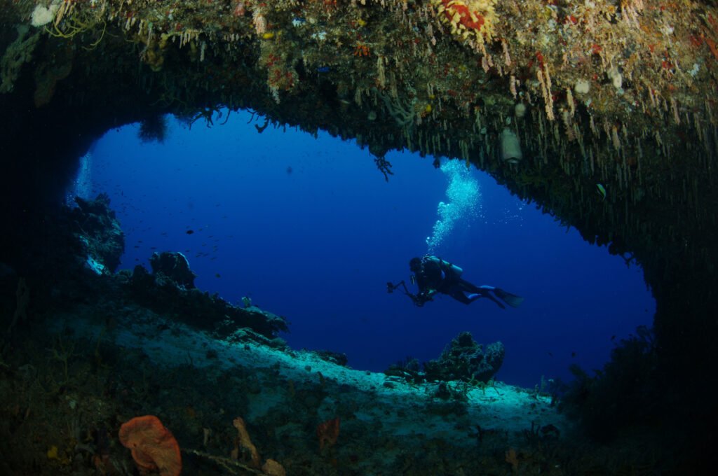 Quelles activités découvrir sur Green Island dans la Grande Barrière de Corail