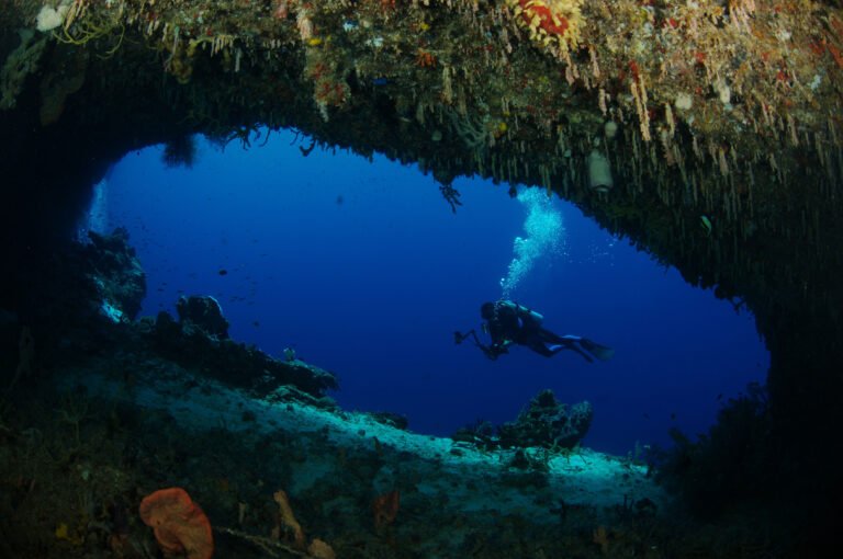 Quelles activités découvrir sur Green Island dans la Grande Barrière de Corail 22 plongee sous marine dans les eaux cristallines