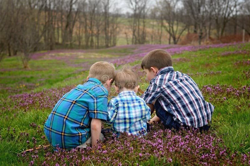Pourquoi Van Gogh a-t-il créé "Deux frères pour une vie" 5 Pourquoi Van Gogh a-t-il créé « Deux frères pour une vie »