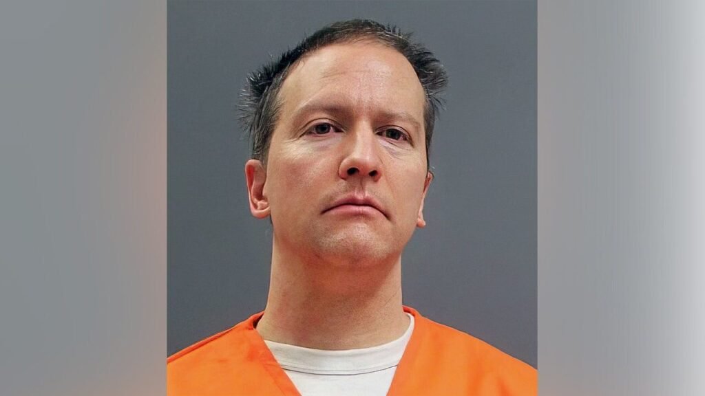 Qui sont les Chauvins Père et Fils et quelle est leur histoire 1 portraits de la famille chauvins a travers les generations