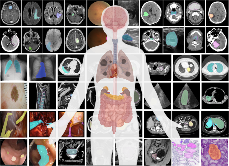 Quelle est l'anatomie du scénario selon John Truby 3 representation visuelle de lanatomie du scenario