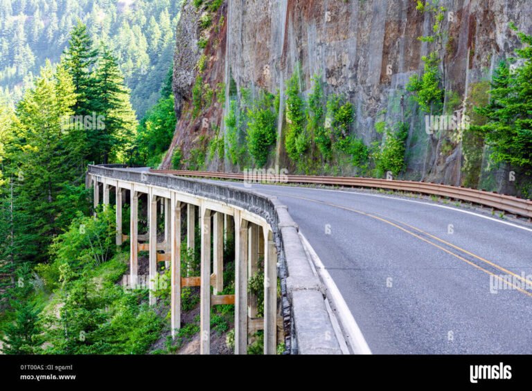 route sinueuse contournant des ponts