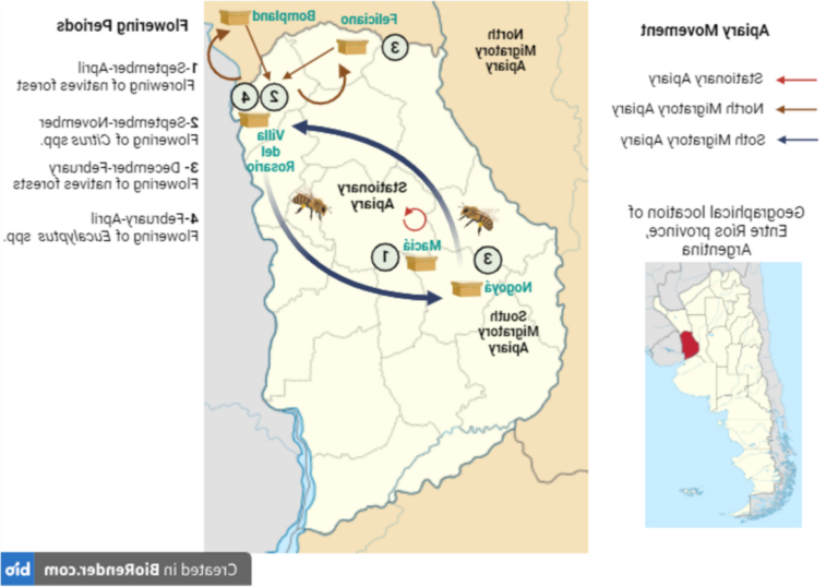 Où Peut-On Trouver Du Miel D'Eucalyptus De Qualité En France 36 ruches deucalyptus en pleine nature francaise