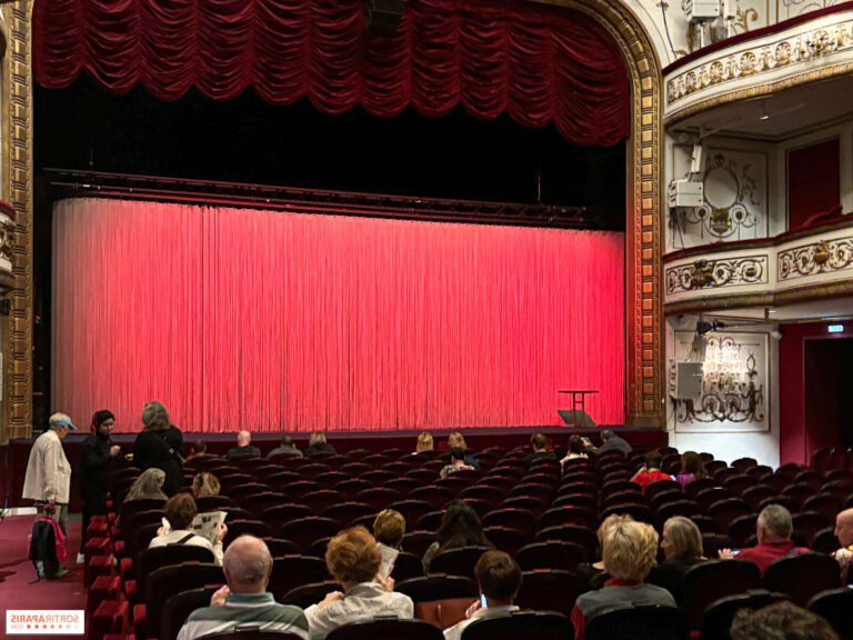 Quelles sont les idées géniales proposées par le Théâtre Michel 42 scene de theatre animee au theatre michel