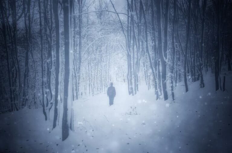 silhouette mysterieuse dans une foret enneigee