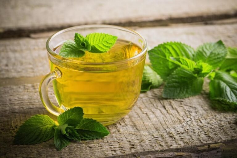 Pourquoi choisir le thé vert à la menthe de Kusmi Tea 31 tasse de the vert a la menthe