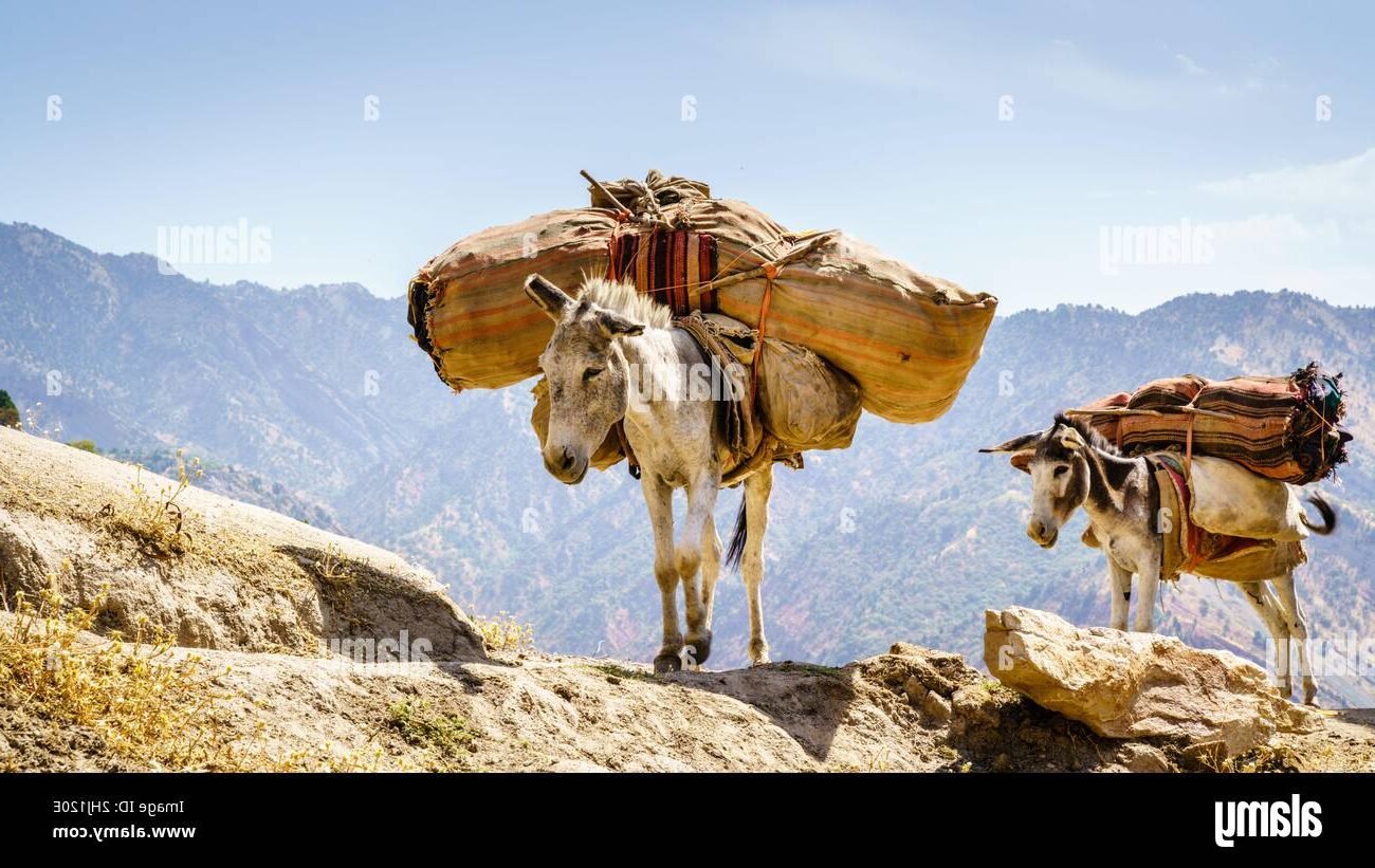 ABAKUHAUS Ethnique Tablier, Yin Et Yang Tao Et Motifs, Produit