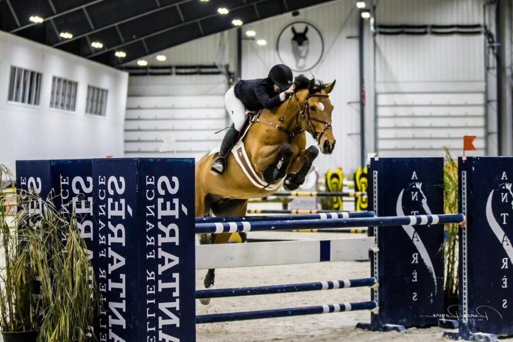 Quels sont les détails du set Lego Friends Le Centre Équestre 2 Quels sont les détails du set Lego Friends Le Centre Équestre