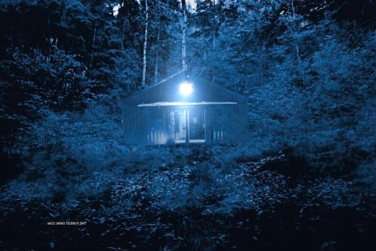Un boss dans mon chalet : De quoi parle ce phénomène mystérieux 25 un chalet mysterieux dans la foret