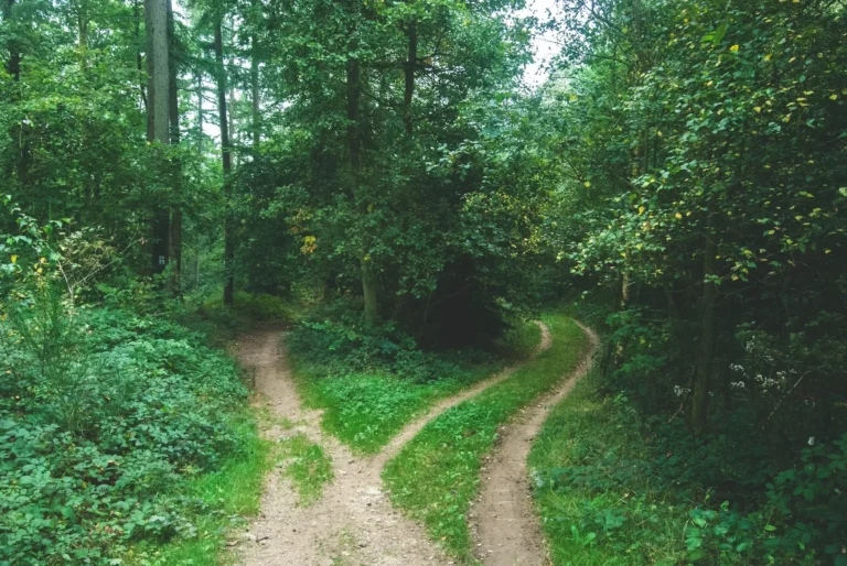Que signifie l'expression "une fois dans ma vie" pour vous 16 un chemin unique dans la nature