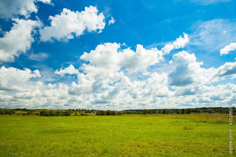 Quels sont les thèmes abordés dans "Tout le bleu du ciel" de Mélissa Da Costa 23 un ciel bleu au dessus dun paysage