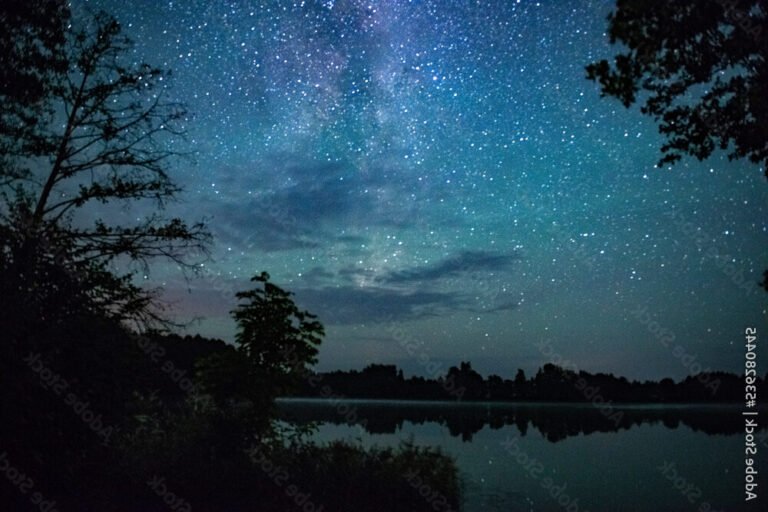 un ciel etoile au dessus dune foret