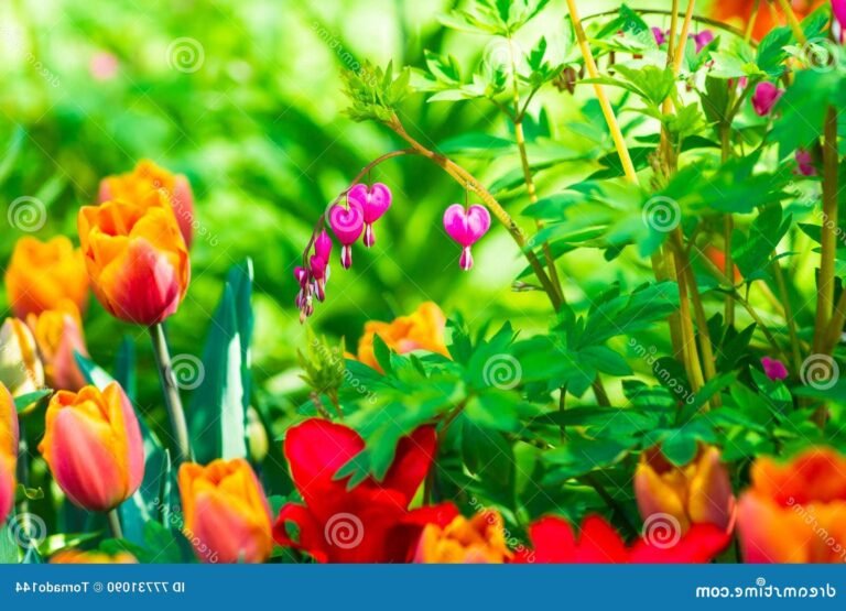 Pourquoi "Lover to Lover" de Florence + The Machine est-il si marquant 15 un coeur brise entoure de fleurs colorees