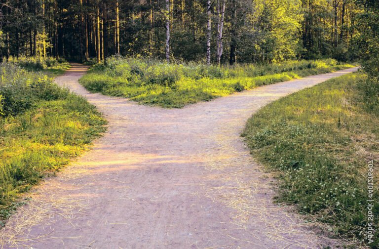 Suis-je amoureuse ou juste attachée Faites le test dès maintenant ! 9 un coeur partage entre deux chemins
