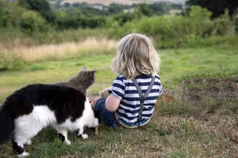 Que faut-il savoir sur "Kamo et moi" de Daniel Pennac 31 un enfant et un chat dans une aventure