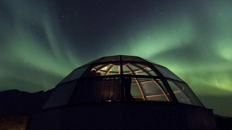 un igloo sous les etoiles avec un chien