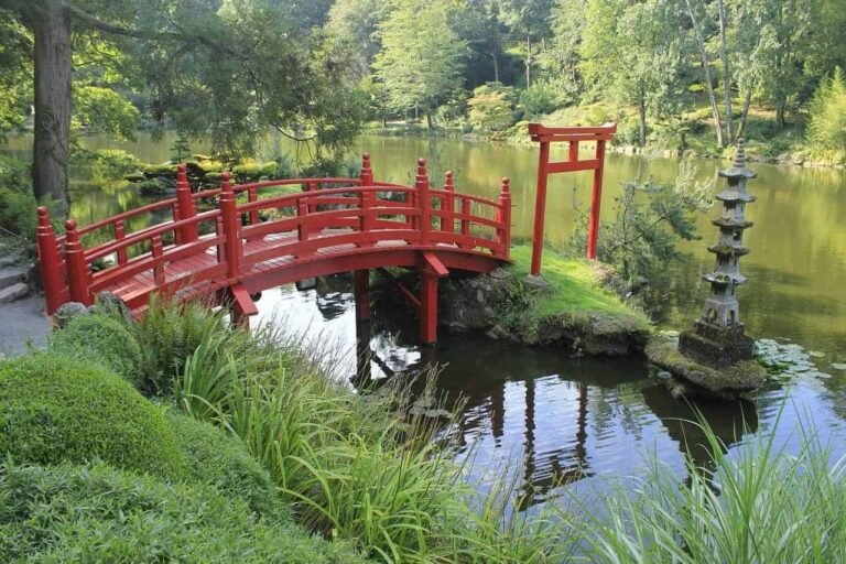 Comment Monet a-t-il créé son chef-d'œuvre "Pont japonais et nénuphars" 8 un jardin avec un pont japonais