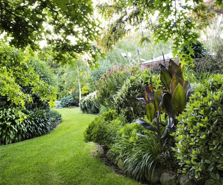 Que savoir sur l'émission France TV "Silence, ça pousse" 13 un jardin luxuriant en pleine croissance