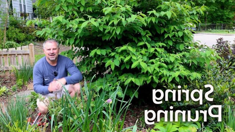 Comment bien tailler un lila des indes pour favoriser sa floraison 44 un jardinier taillant un lila des indes