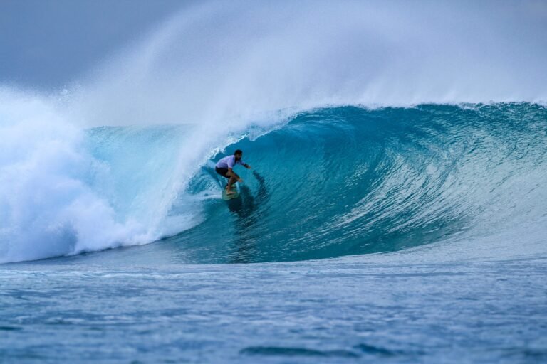 Que raconte le livre "Mahmoud ou la montée des eaux" 19 un jeune garcon face aux vagues menacantes