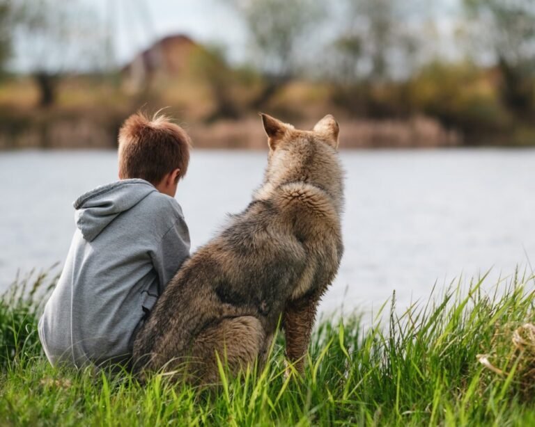 Comment le loup qui apprivoisait ses émotions aide-t-il les enfants 6 un loup interagissant avec des enfants