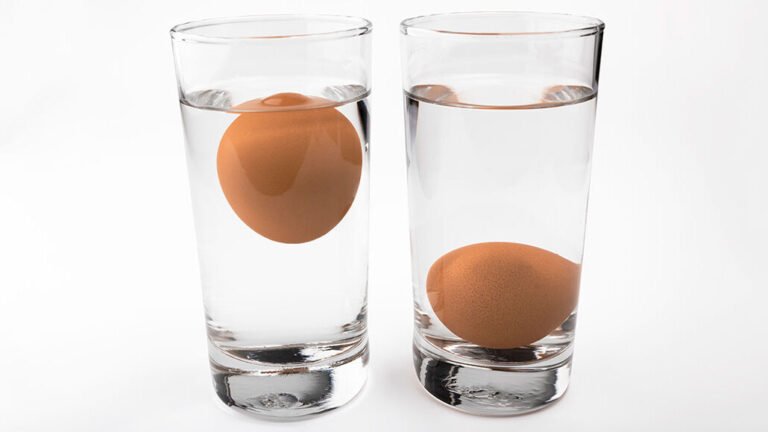 un oeuf flottant dans un bol deau