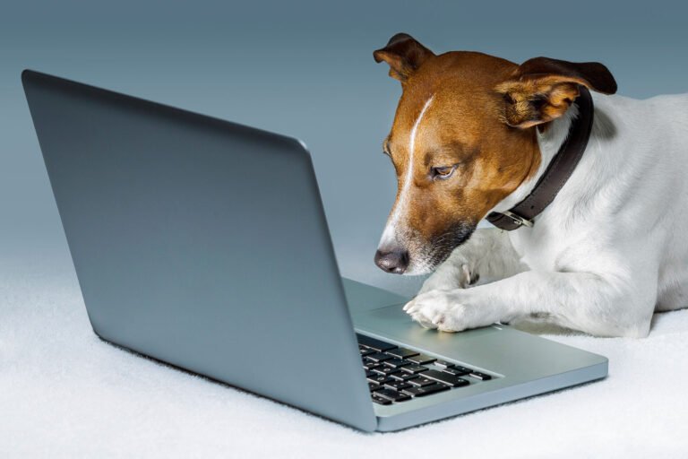 un ordinateur portable avec tails en action