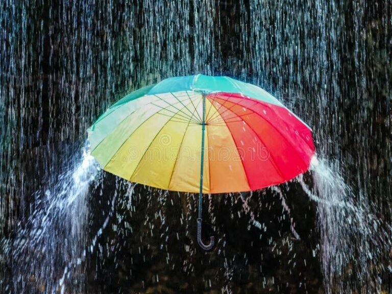 Pourquoi devrions-nous préparer nos poches pour traverser des orages 11 un parapluie colore sous une pluie battante