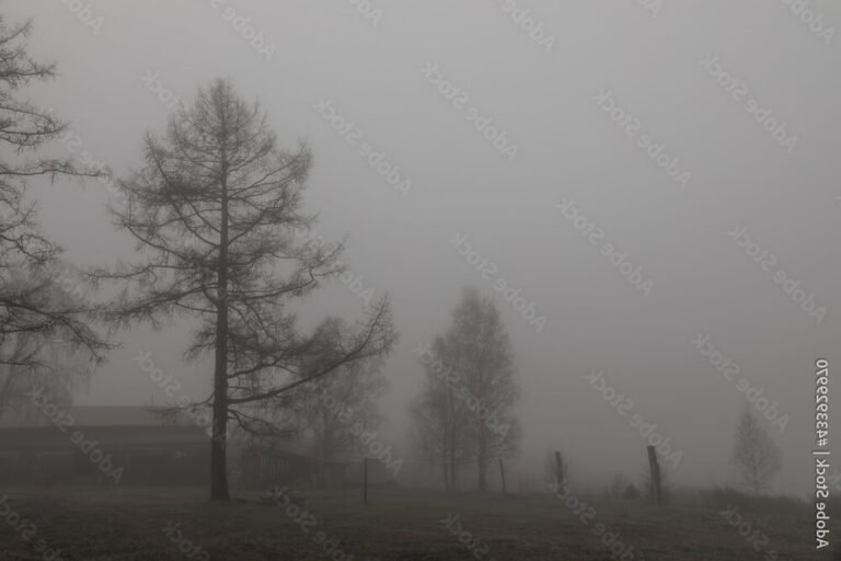 un paysage brumeux de silent hill