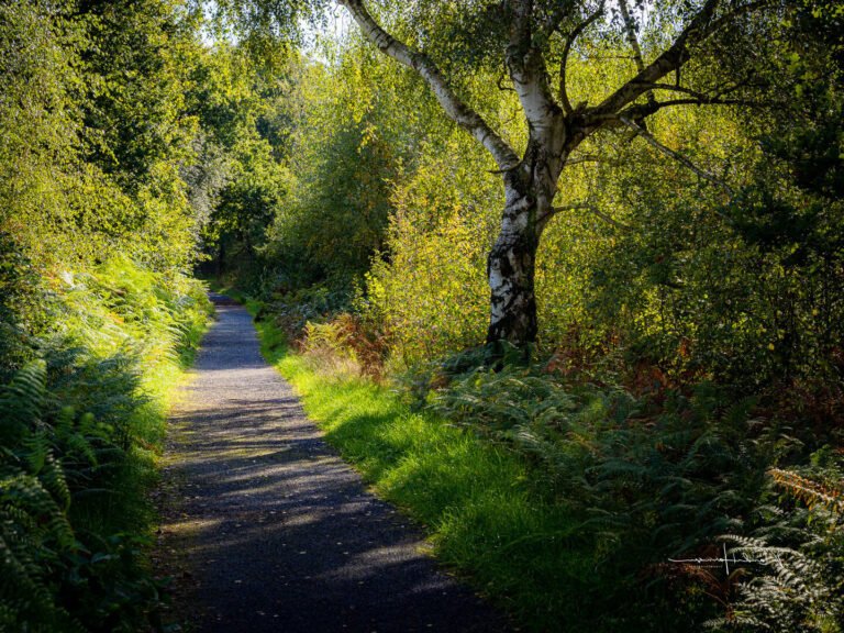 Que signifie réellement "Par-delà bien et mal" de Nietzsche 25 un paysage entre ombre et lumiere