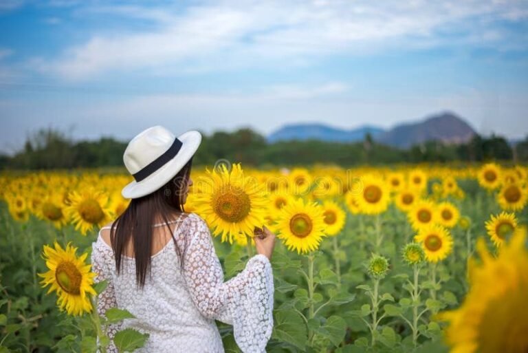 Où se trouve l'endroit où le bonheur se respire véritablement 18 un paysage serein avec des gens heureux