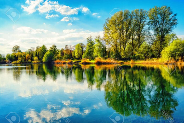 un paysage tranquille au bord de leau