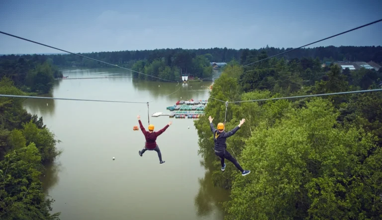 un paysage verdoyant dun center parcs