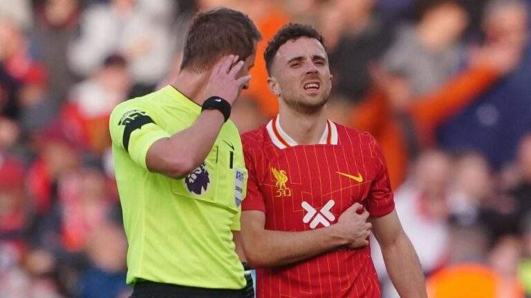 un regard complice entre lili et diogo