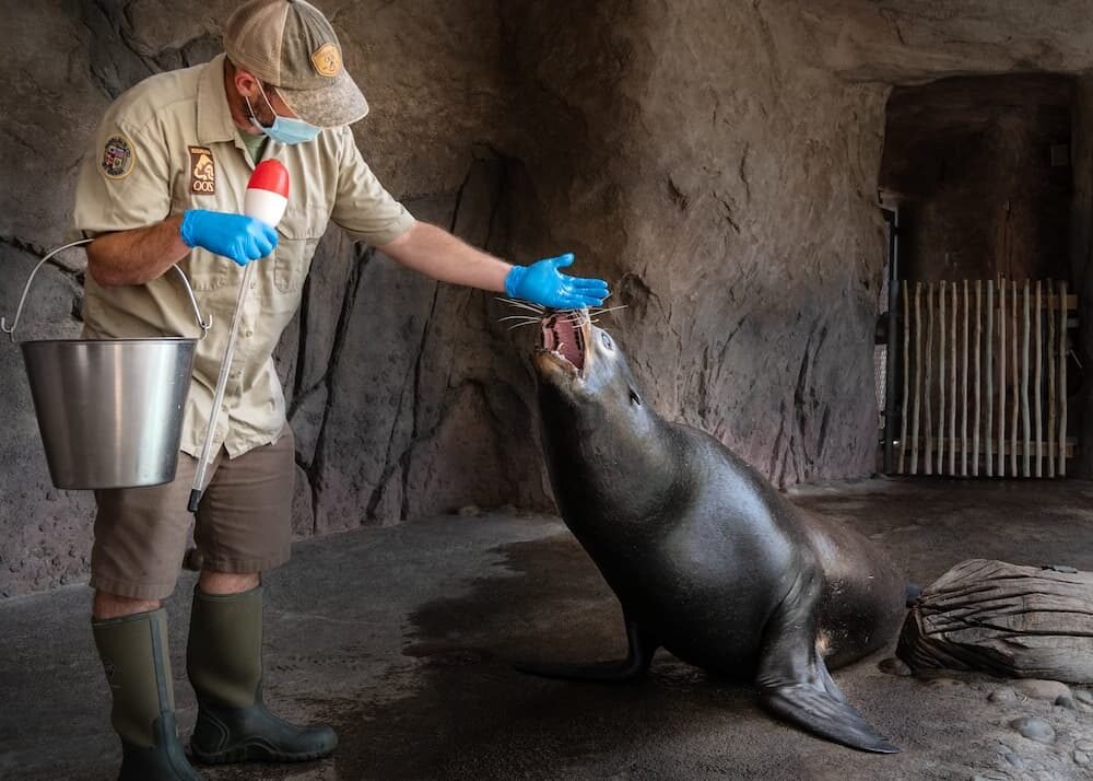 Comment devenir soigneur d'un jour au Zoo d'Amnéville 3 Comment devenir soigneur d’un jour au Zoo d’Amnéville