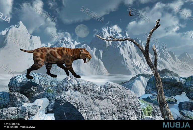 un tigre solitaire dans un paysage enneige