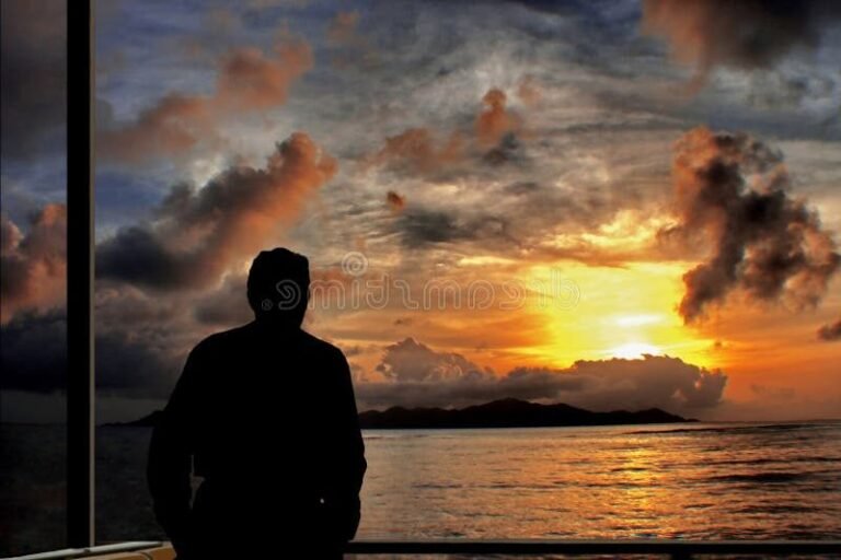 une personne contemplant un horizon lumineux