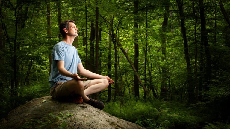 Quel est le message clé du livre "Le Jour où j'ai appris à vivre" 18 une personne meditant en pleine nature 2
