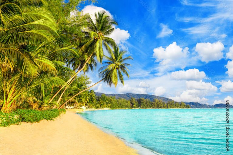 Vaiana : Quelle est la véritable légende au bout du monde 20 une vue spectaculaire dun ocean tropical